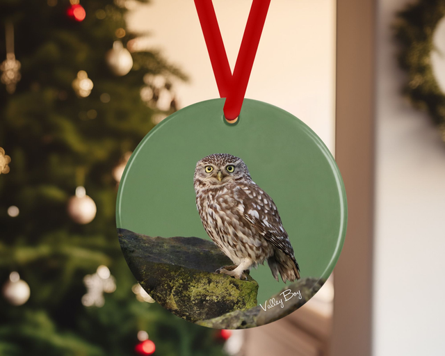 "Little Owl" Ceramic Christmas Decoration      