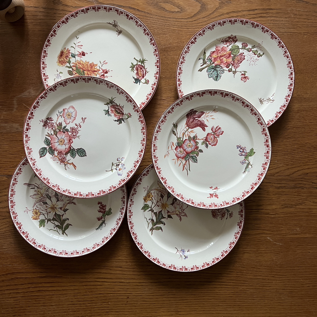 6 assiettes en terre de fer U&amp;C Sarreguemines décor Linnée polychrome