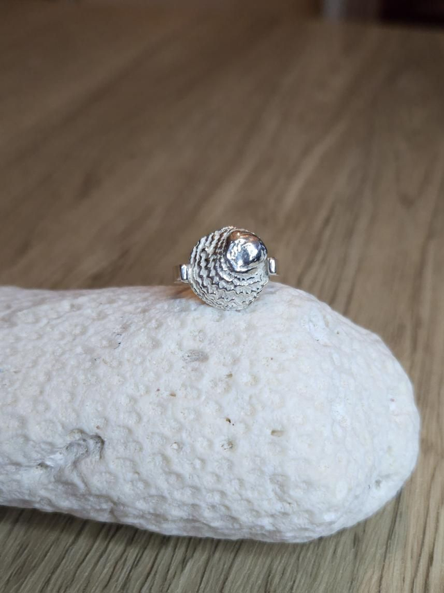 Chama Shell ring