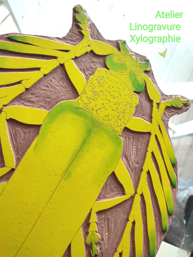 Atelier linogravure ou xylographie 