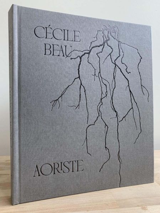 Cécile Beau. Aoriste