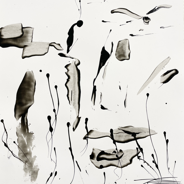 Oeuvre sur papier - La Mouette - 50x65cm