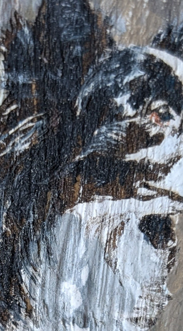 Collie dog lay down, looking out - Tealight Holder Reclaimed Wood