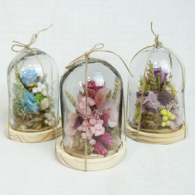  CL414P -CÚPULA SENCILLA con 1 rosa eterna. 15x12cm. SURTIDAS