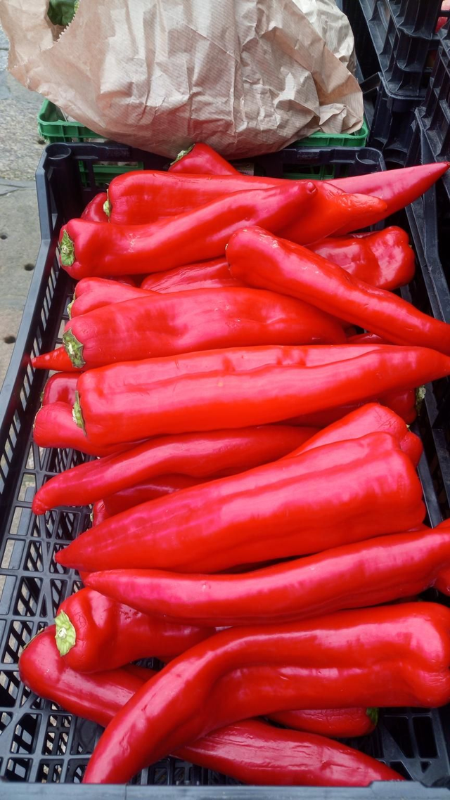 pimiento italiano rojo