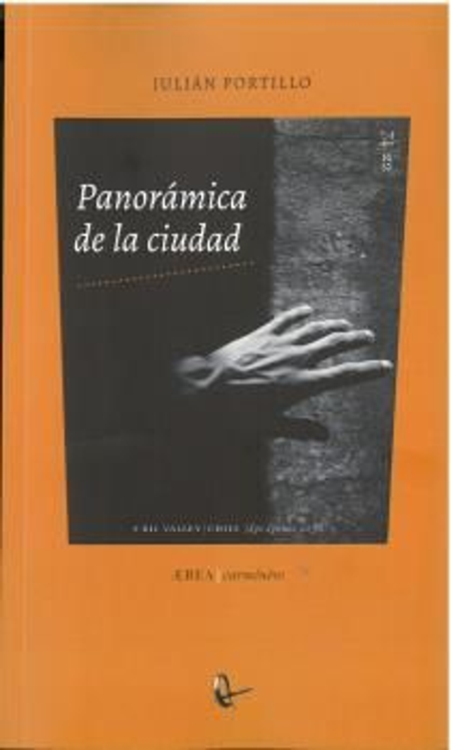 Panorámica de la ciudad - Julián Portillo