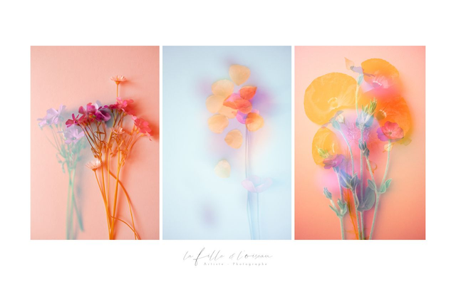 Triptyque floral * C