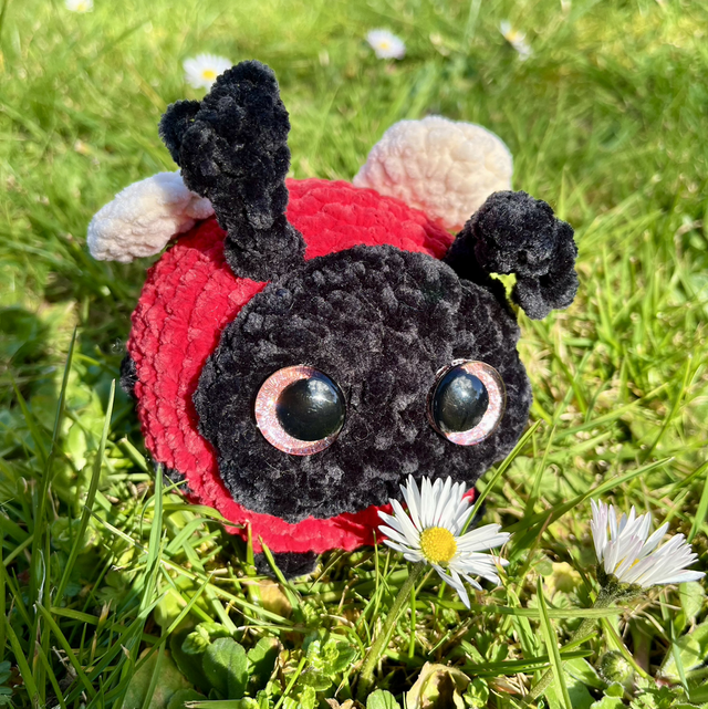 Emilie la coccinelle 