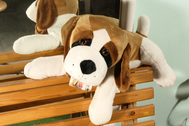 PELUCHE CANE SAN BERNARDO CON FOTO PERSONALIZZATA CM 40X20X20