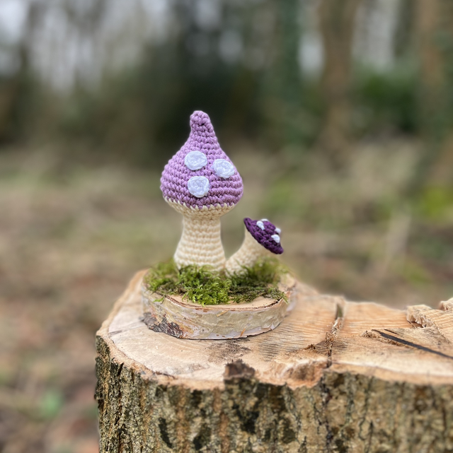 Purple crochet mushroom duo