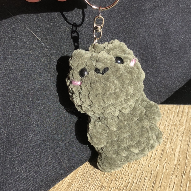 Porte clef Grenouille 