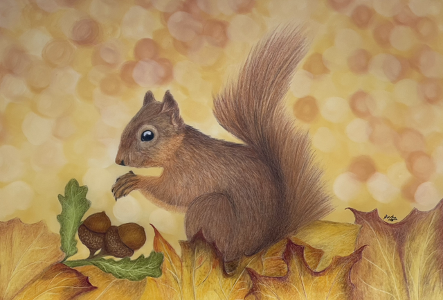 Squirrel- I Found It