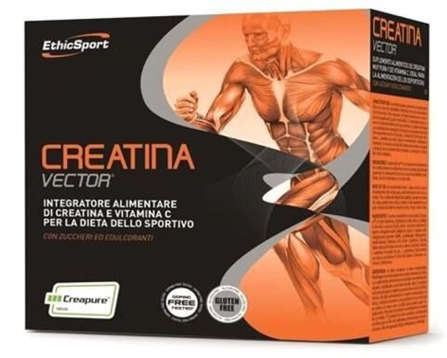 CREATINA VECTOR