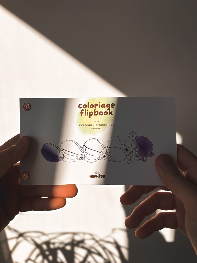 Coloriage Flipbook fait à la main- Éclosion d'orchidée 