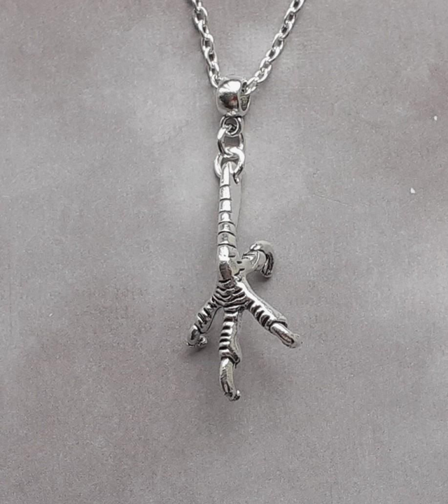 Bird Claw Necklace 
