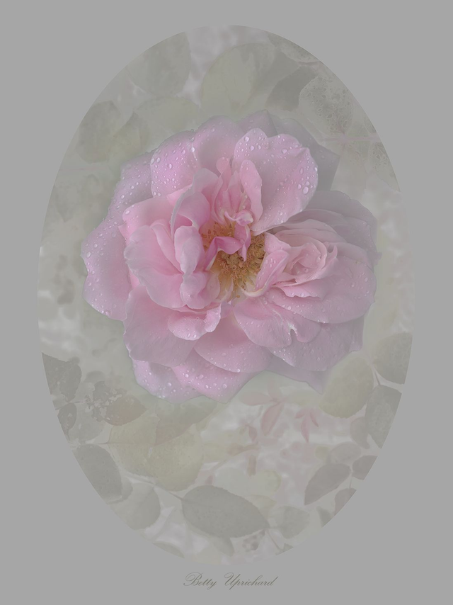 Rose Betty Uprichard