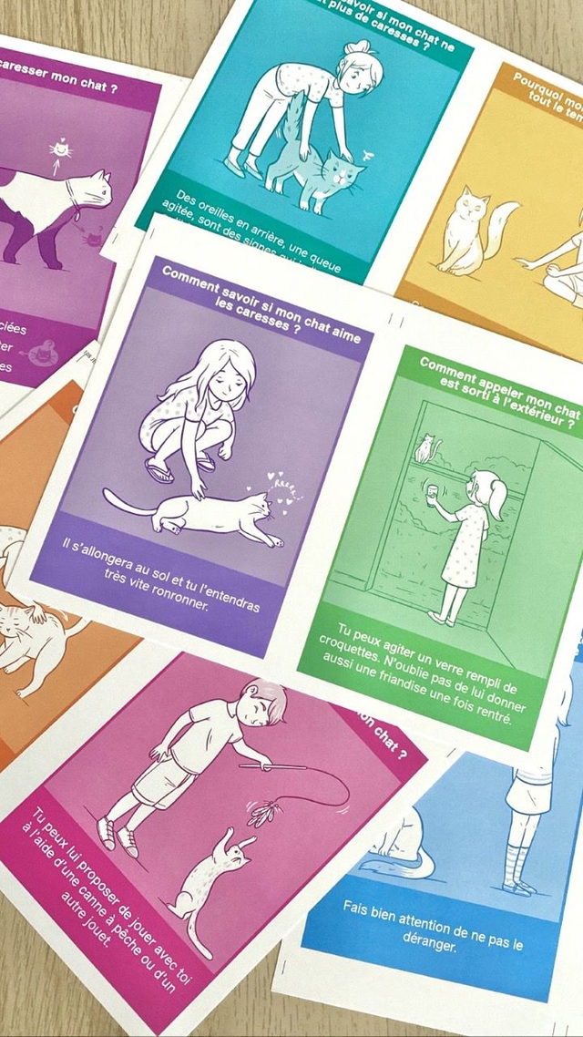 Les chats de Bastet - Cartes pédagogiques