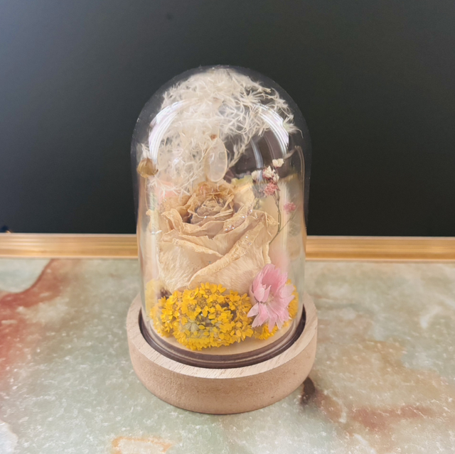 Mini rose and Lunaria glass dome