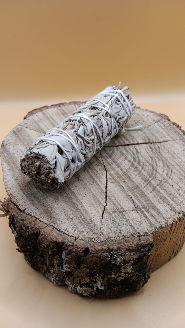 Bâton de Sauge de Californie