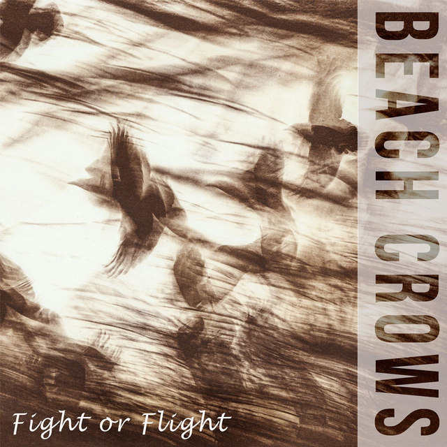 Fight or Flight CD