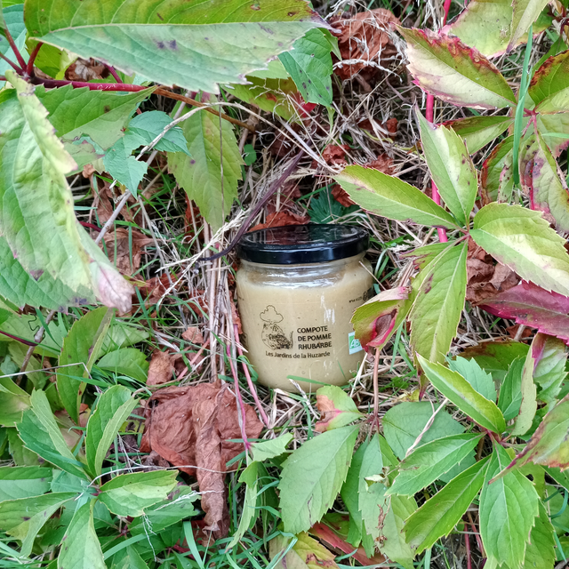 Compote Pomme-Rhubarbe