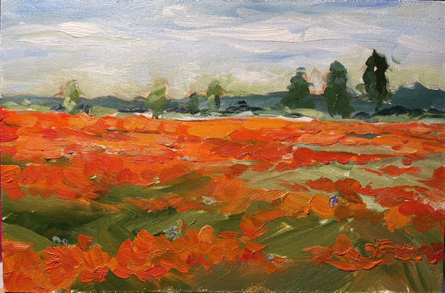 Poppy field. Oil painting on cardboard. Original art