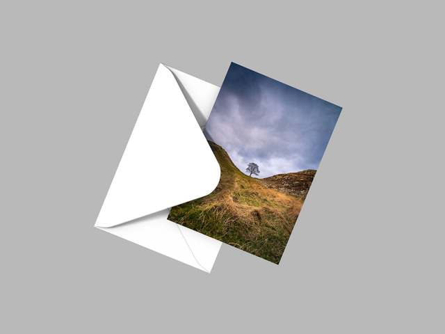 Remembrance, Sycamore Gap