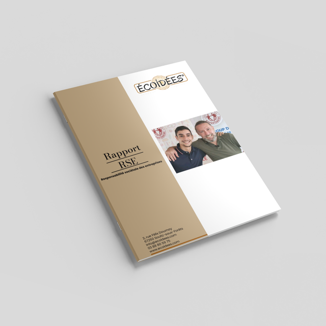 Mise en page (dossier, livre, Powerpoint) - à partir de 150€