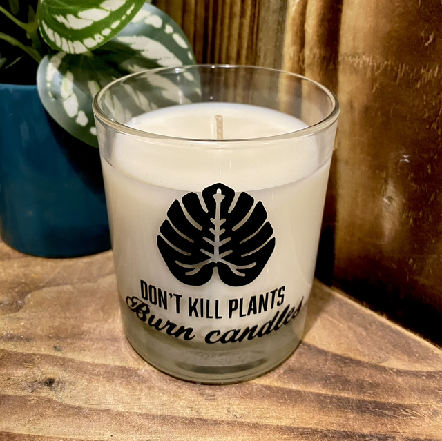 Don’t Kill Plants Burn Candles Vinyl
