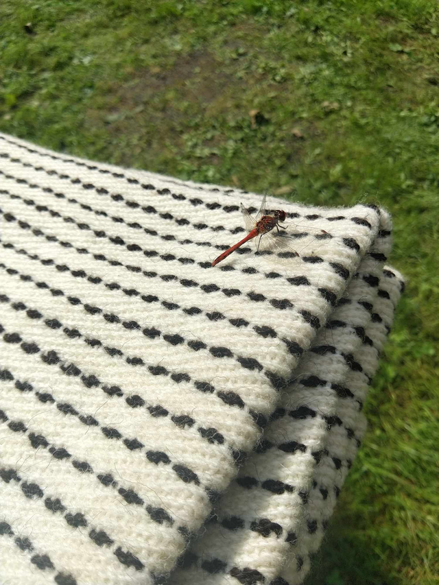 Sayon modelé Hedeby  Grave S27 interprétation 