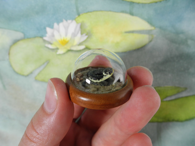 slithering through the sand - Among the lilypads - Miniature diorama Jewelry - Clear glass dome with delicate handmade grass snake on sandlace (1)