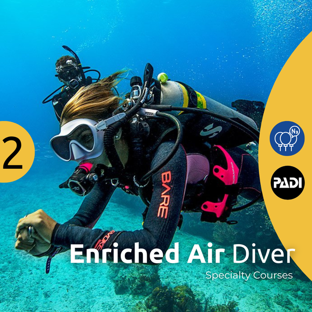 Ustica One Day Trip - Nitrox Diver Course