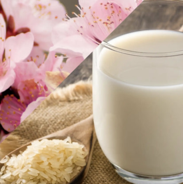 P’tit métal lait de riz cerisier - 113gr