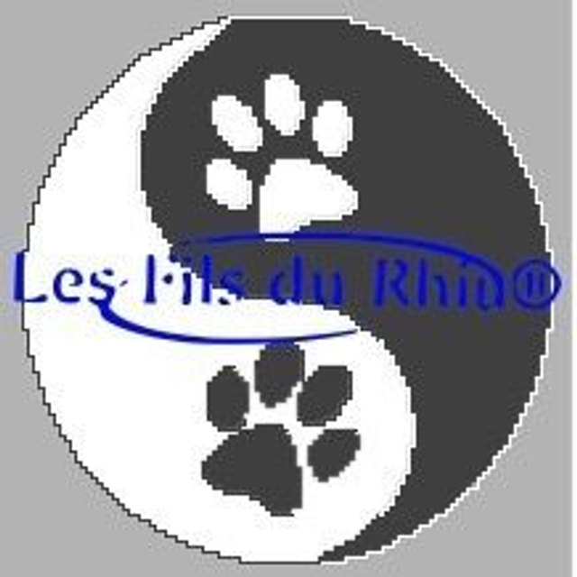 Grille yng yang pattes