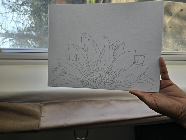 Sunflower Bloom Sketched Canvas 