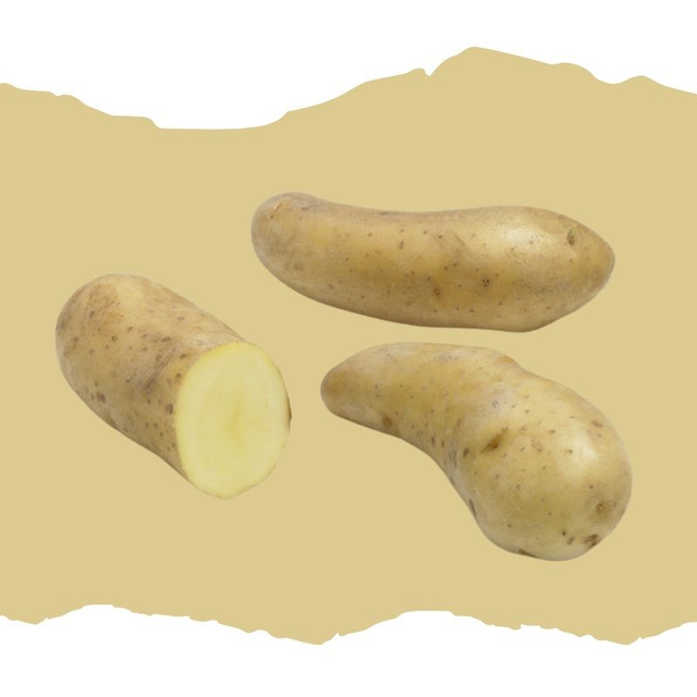 La Ratte : La perle des gastronomes