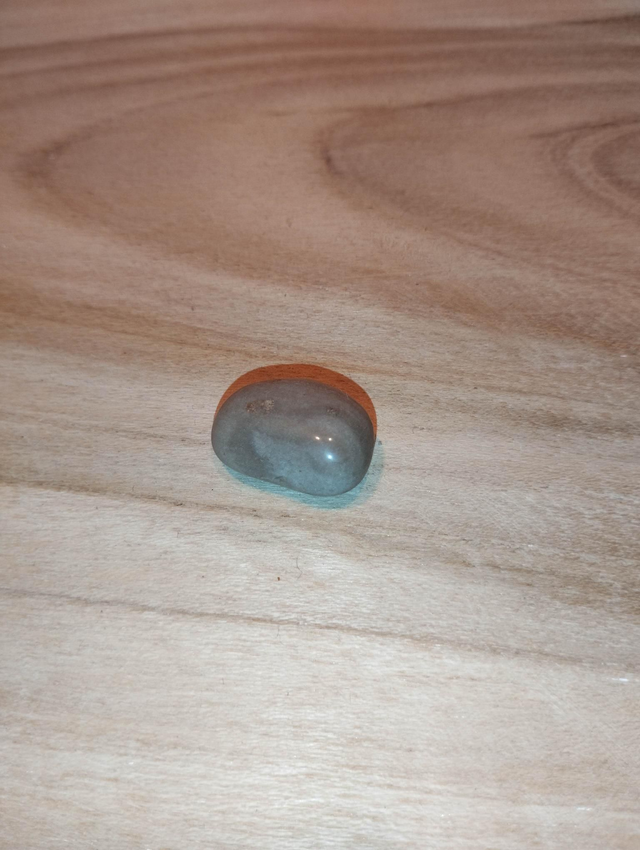 Bois fossile ou bois pétrifié 