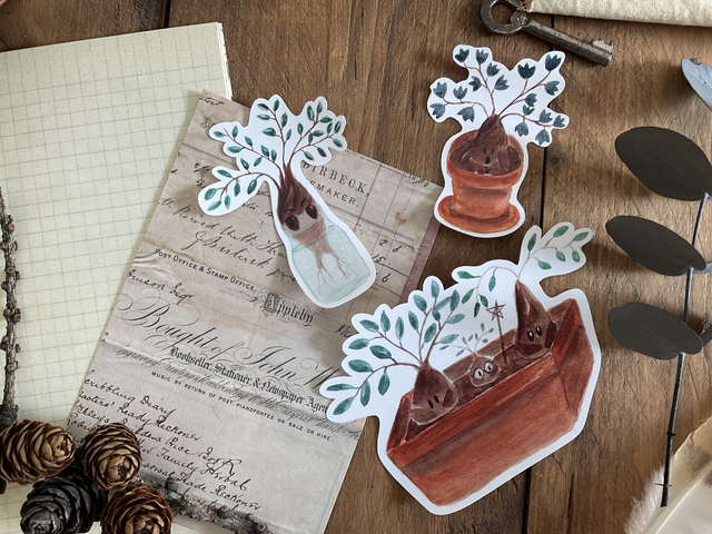 Autocollants Mandragores