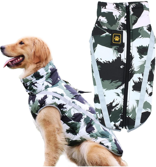 Windproof Dog Coat