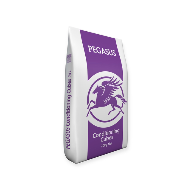 Pegasus Conditioning Cubes 20kg