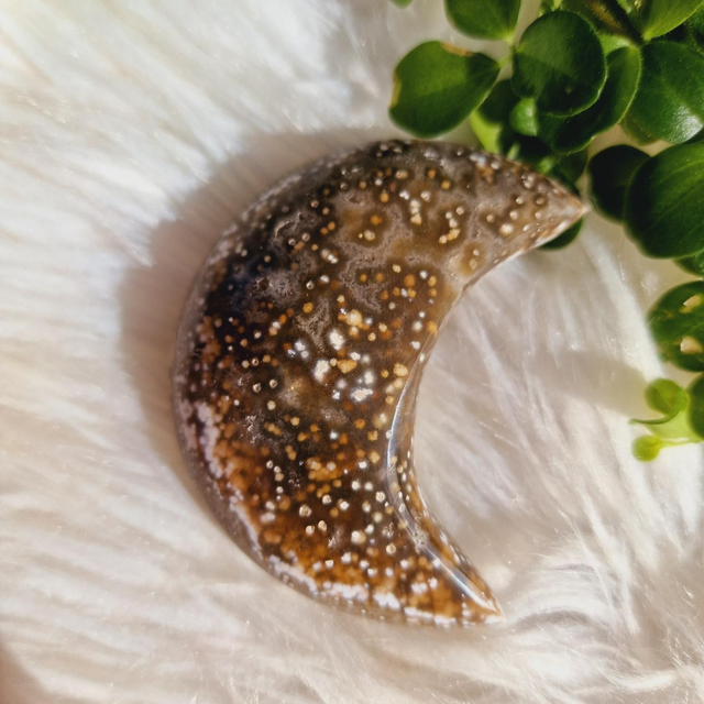 Ocean Jasper Moon
