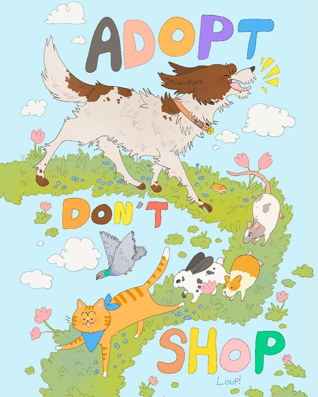 A4 - Adopt Don't Shop