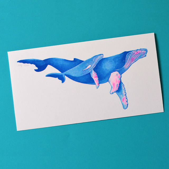 *Format atypique* les baleines à bosse