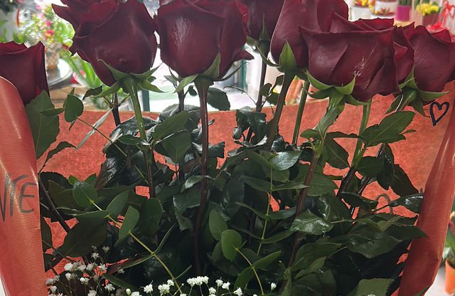 Fascio di 9 rose rosse 