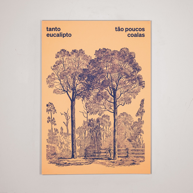 Tanto eucalipto, tão poucos coalas ● So many eucalyptus, so few koalas