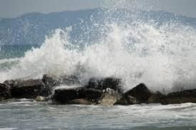 Coastal Kale & Surf