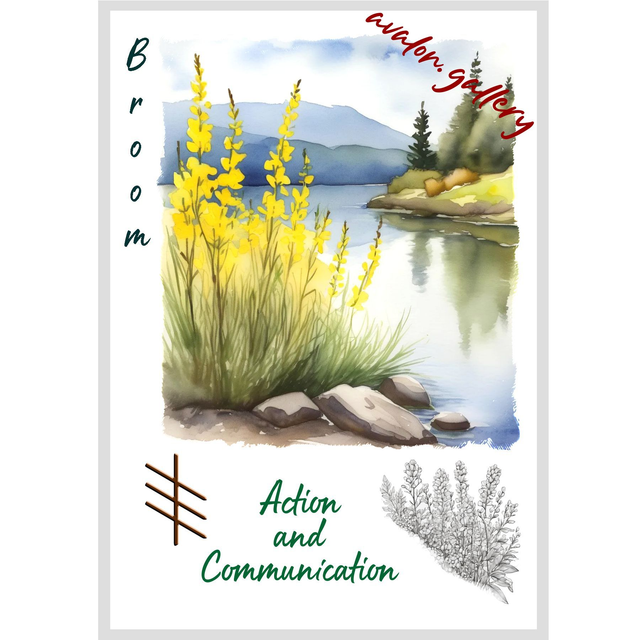 33. Broom - 'Action and Determination'