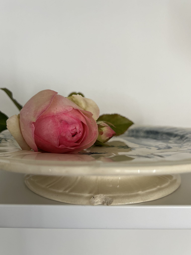 PLAT AUX OISEAUX 1 - Plat piédouche (ou présentoir) aux Oiseaux par la manufacture française de Gien - Terre de Fer