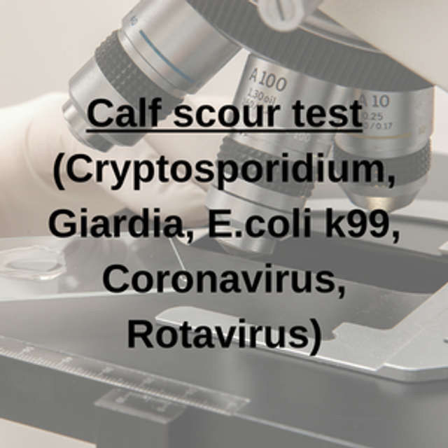Calf Scour Test (Cryptosporidium, Giardia, E.coli k99, Coronavirus, Rotavirus)