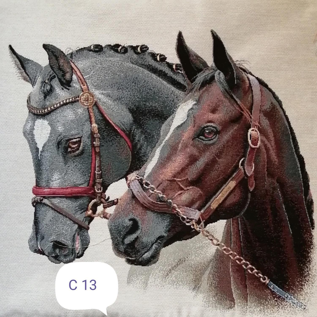 Housse coussin HC 13